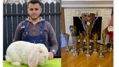 Cosmin Cozma, maramureșeanul care a transformat cadoul primit de la bunic în performanță internațională în creșterea iepurilor de rasă