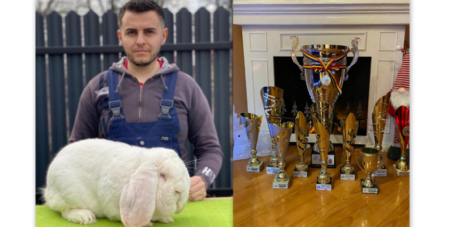Cosmin Cozma, maramureșeanul care a transformat cadoul primit de la bunic în performanță internațională în creșterea iepurilor de rasă