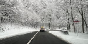 Cod galben de vânt în Maramureș