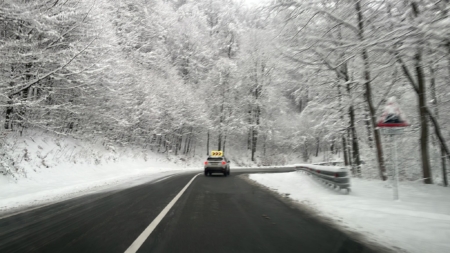 Cod galben de vânt în Maramureș