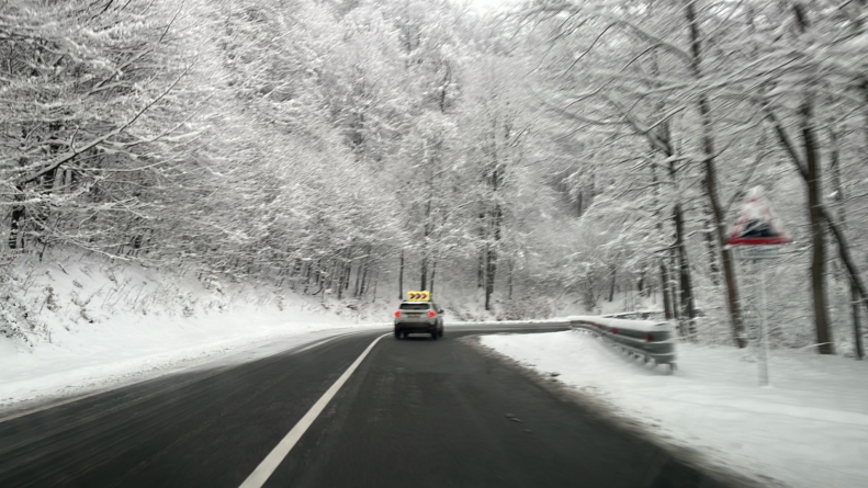 Cod galben de vânt în Maramureș