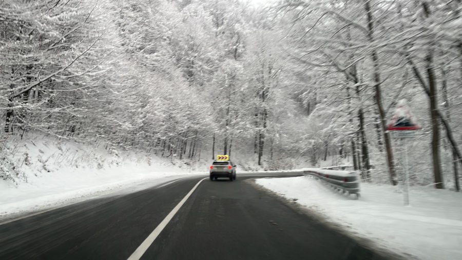 Cod galben de vânt în Maramureș
