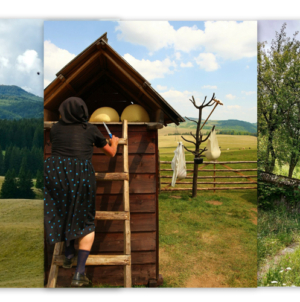 Giulești se alătură destinației Eco Maramureș – o comunitate cu rădăcini adânci, unde peisajul, tradițiile și istoria continuă să fie trăite zi de zi