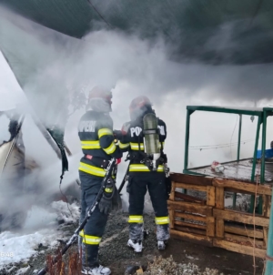 Intervenție a pompierilor în Recea