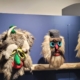 Expoziția „Misterul măștii populare românești” candidează pentru Top 3 expoziții din Cehia