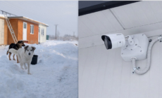 Adăpostul de animale Paul Shelter, dotat cu un sistem de supraveghere video performant