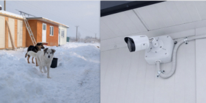 Adăpostul de animale Paul Shelter, dotat cu un sistem de supraveghere video performant