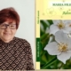 Autoarea Maria Filipaș lansează cel de-al treilea volum de poezie cu ocazia Zilei Culturii Naționale, la Seini