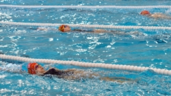 Sportivii Clubului Sportiv Seini și-au consolidat pregătirea la cantonamentul din Târgu Lăpuș