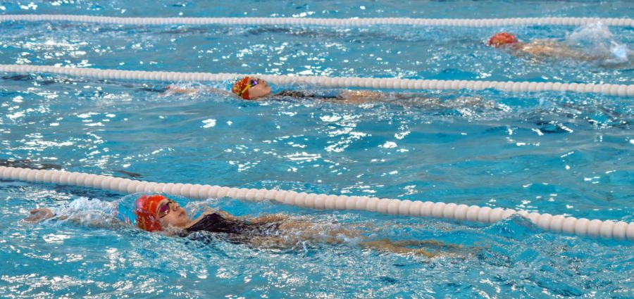 Înotătorii Clubului Sportiv Seini și-au consolidat pregătirea la cantonamentul din Târgu Lăpuș