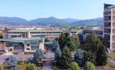 Noi controverse legate de tăierea copacilor în Baia Mare