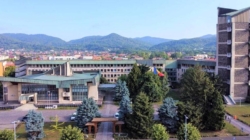 Noi controverse legate de tăierea copacilor în Baia Mare