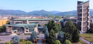 Noi controverse legate de tăierea copacilor în Baia Mare