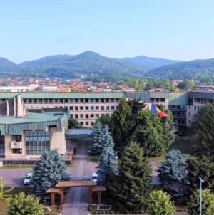 Noi controverse legate de tăierea copacilor în Baia Mare