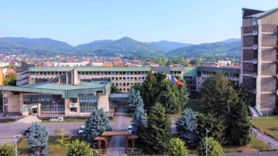 Noi controverse legate de tăierea copacilor în Baia Mare