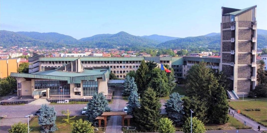 Noi controverse legate de tăierea copacilor în Baia Mare