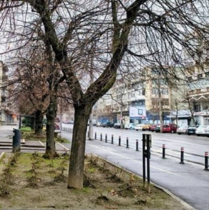 Prognoza meteo Maramureș, joi 26 februarie 2026