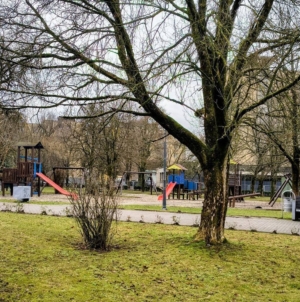 Prognoza meteo Maramureș, vineri 13 februarie 2026