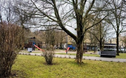 Prognoza meteo Maramureș, vineri 17 aprilie 2026