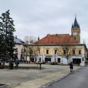 Prognoza meteo Maramureș, sâmbătă 14 februarie 2026