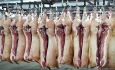 Carnea de porc adusă din UE congelată nu va mai putea fi vândută drept proaspătă