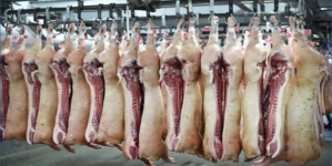 Carnea de porc adusă din UE congelată nu va mai putea fi vândută drept proaspătă