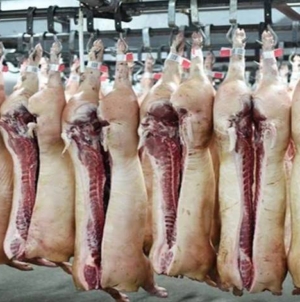 Carnea de porc adusă din UE congelată nu va mai putea fi vândută drept proaspătă