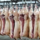 Carnea de porc adusă din UE congelată nu va mai putea fi vândută drept proaspătă