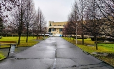 Prognoza meteo Maramureș, vineri 20 februarie 2026