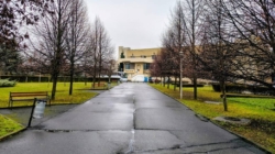 Prognoza meteo Maramureș, vineri 20 februarie 2026