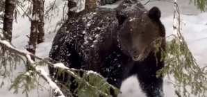 Avertizare importantă de la Salvamont – atenție sporită în Munții Gutâi!