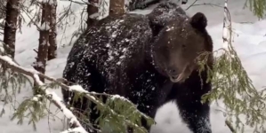 Avertizare importantă de la Salvamont – atenție sporită în Munții Gutâi!