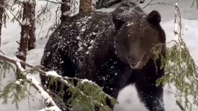 Avertizare importantă de la Salvamont – atenție sporită în Munții Gutâi!