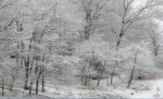 Vreme severă în următoarele zile: ger, vânt și polei