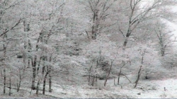 Vreme severă în următoarele zile: ger, vânt și polei