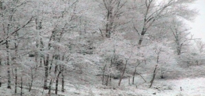 Vreme severă în următoarele zile: ger, vânt și polei