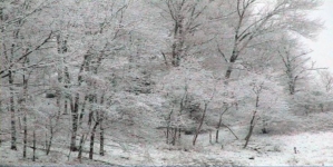 Vreme severă în următoarele zile: ger, vânt și polei