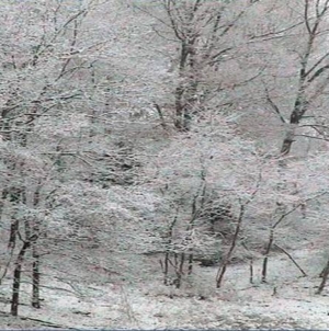 Vreme severă în următoarele zile: ger, vânt și polei