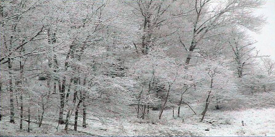 Vreme severă în următoarele zile: ger, vânt și polei