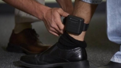 Târgu Lăpuș: un nou ordin de protecție provizoriu într-un caz de violență domestică