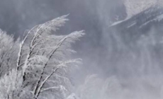 Atenționare meteo de Cod Galben