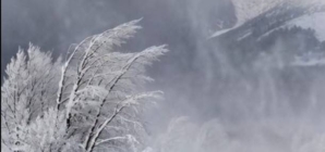 Atenționare meteo de Cod Galben