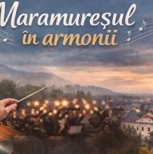 Răspunsul administrației județene confirmă demersul Direct MM privind cultura