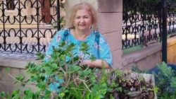 3 februarie, in memoriam conf. univ. dr. Carmen Dărăbuș