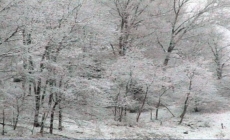 Primăvară azi, iarnă mâine: ce anunță meteorologii