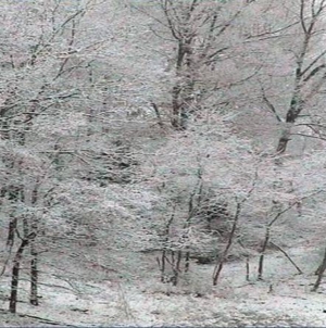 Primăvară azi, iarnă mâine: ce anunță meteorologii