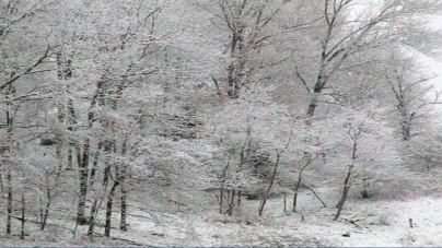 Primăvară azi, iarnă mâine: ce anunță meteorologii