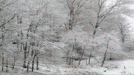 Primăvară azi, iarnă mâine: ce anunță meteorologii