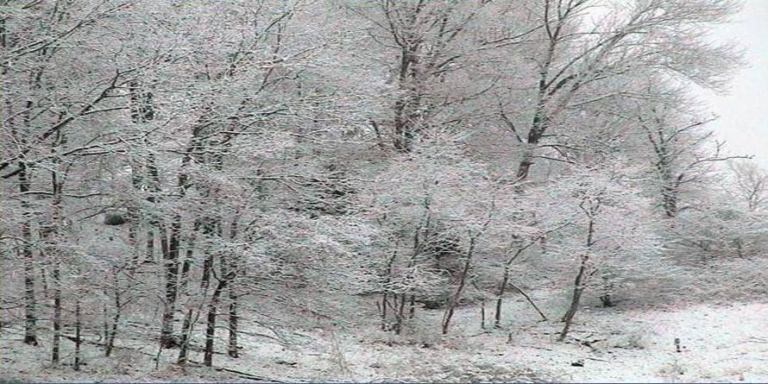 Primăvară azi, iarnă mâine: ce anunță meteorologii