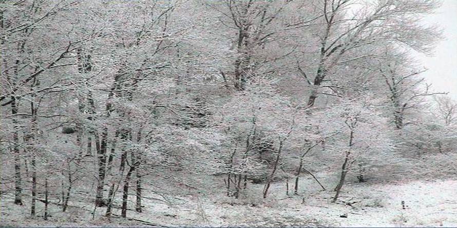 Primăvară azi, iarnă mâine: ce anunță meteorologii